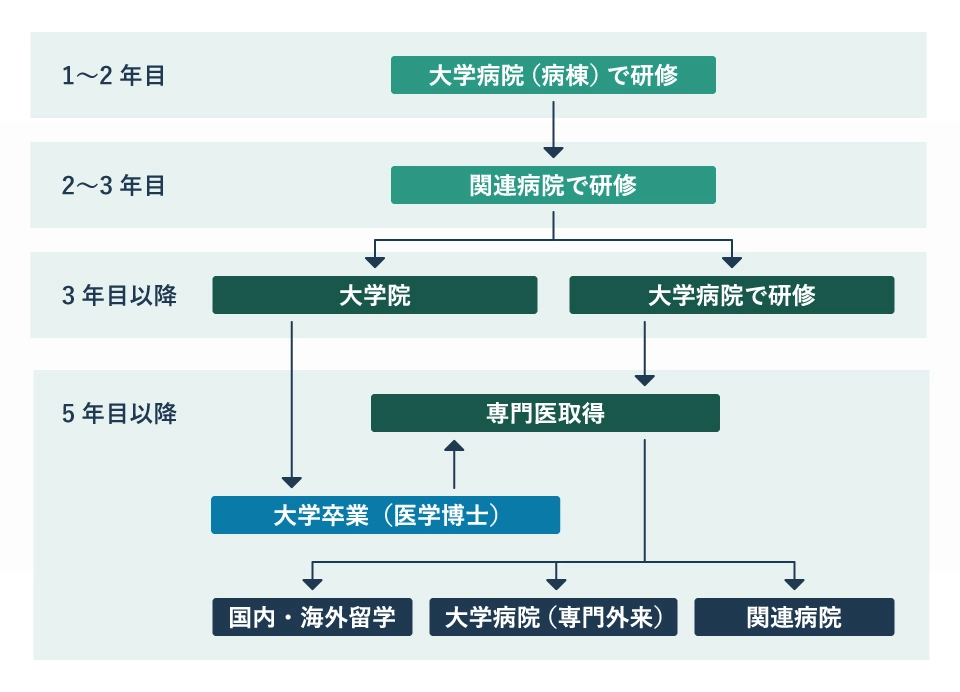 入局後の進路
